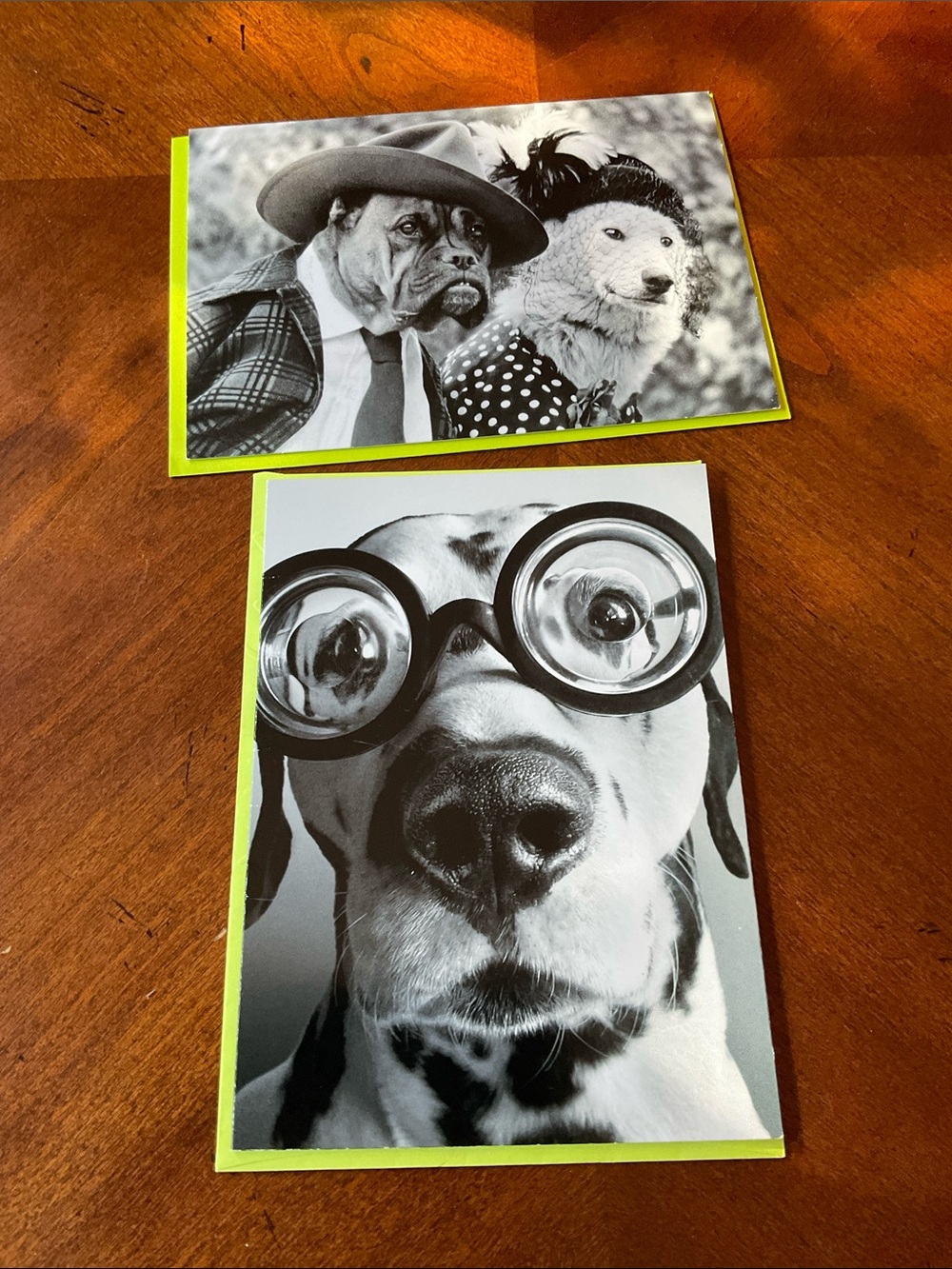 Set of 2 Humorous Adorable Fun Dog Happy Birthday Cards - Avanti Cards -